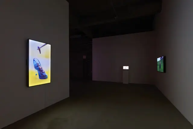 エレナ・ノックス / 八島良子 Video Screening 「Under the Surface」展示風景、ANOMALY、東京、2025 撮影：坂本理