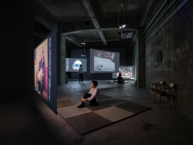 エレナ・ノックス「あざらし話」展示風景、ANOMALY、東京、2023 撮影: 三嶋一路