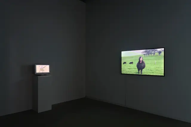 エレナ・ノックス / 八島良子 Video Screening 「Under the Surface」展示風景、ANOMALY、東京、2025 撮影：坂本理