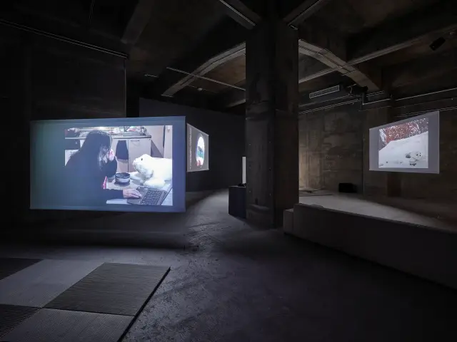 エレナ・ノックス「あざらし話」展示風景、ANOMALY、東京、2023 撮影: 三嶋一路