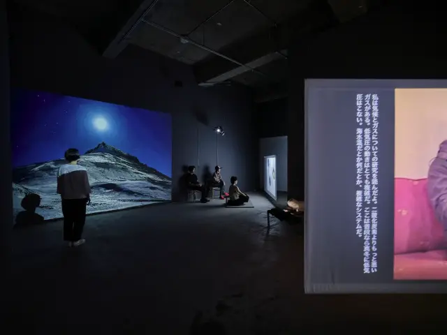 エレナ・ノックス「あざらし話」展示風景、ANOMALY、東京、2023 撮影: 三嶋一路
