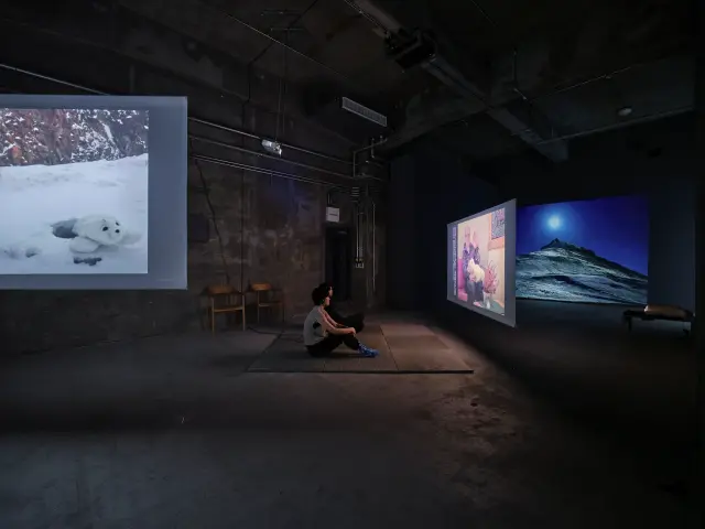 エレナ・ノックス「あざらし話」展示風景、ANOMALY、東京、2023 撮影: 三嶋一路