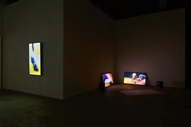 エレナ・ノックス / 八島良子 Video Screening 「Under the Surface」展示風景、ANOMALY、東京、2025 撮影：坂本理