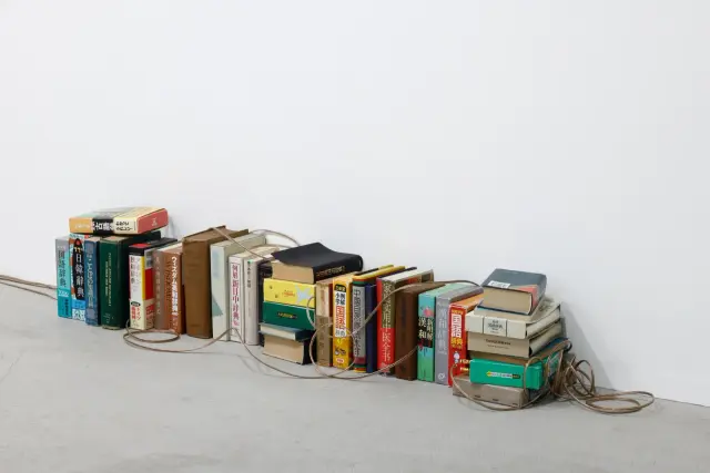 《辞書が言葉を学ぶとき》(2024) 34冊の辞書、スピーカー、ケーブル、サウンド、Dimensions variable / 「波を耕す」展示風景、ANOMALY、東京、2024年 撮影：木奧恵三