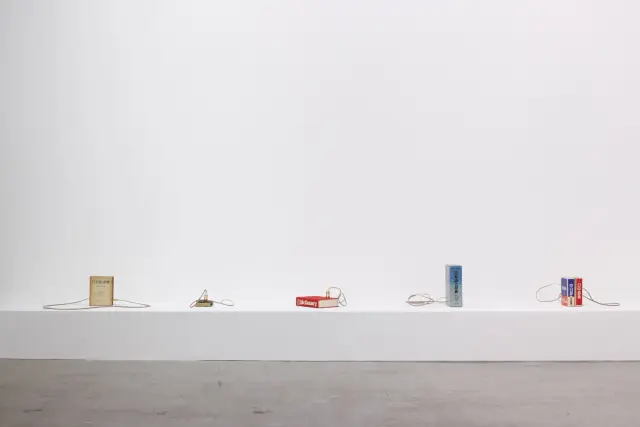 「辞書が言葉を学ぶとき」シリーズ (2024) / 「波を耕す」展示風景、ANOMALY、東京、2024年 撮影：木奧恵三