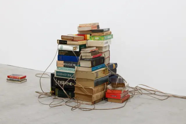 《辞書が言葉を学ぶとき》(2024) 51冊の辞書、スピーカー、ケーブル、サウンド、Dimensions variable / 「波を耕す」展示風景、ANOMALY、東京、2024年 撮影：木奧恵三