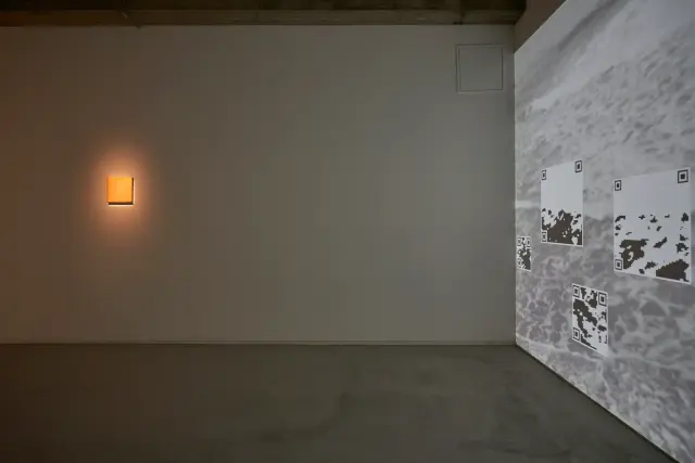 「不在大地」展示風景、ANOMALY、東京、2019年 撮影：三嶋一路