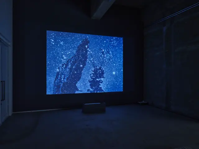 《Microcosmos》2022年、DCP、12min / 「Collage and Anti-cosmos」展示風景、ANOMALY、東京、2023年 撮影：三嶋一路
