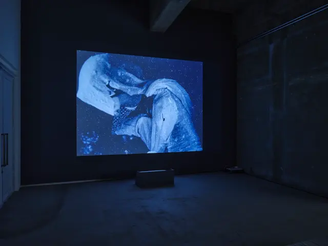 《Microcosmos》2022年、DCP、12min / 「Collage and Anti-cosmos」展示風景、ANOMALY、東京、2023年 撮影：三嶋一路