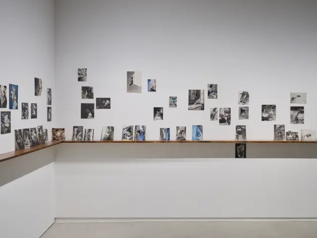 「Collage and Anti-cosmos」展示風景、ANOMALY、東京、2023年 撮影：三嶋一路