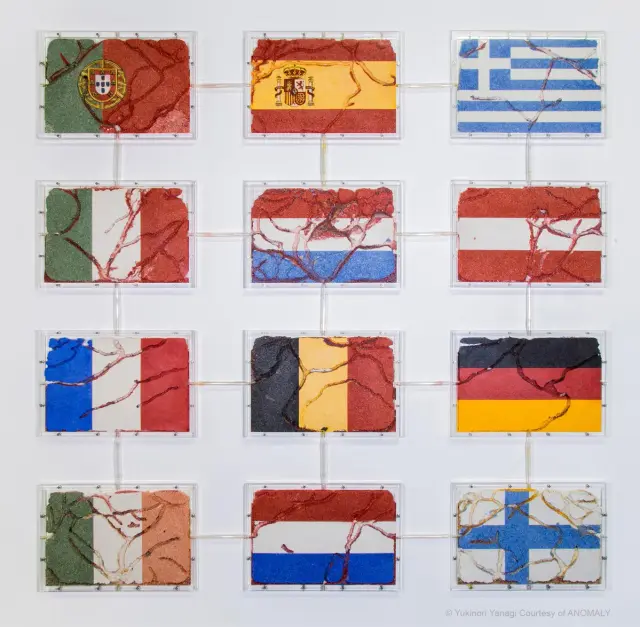 EURO 2002, 2001-2002