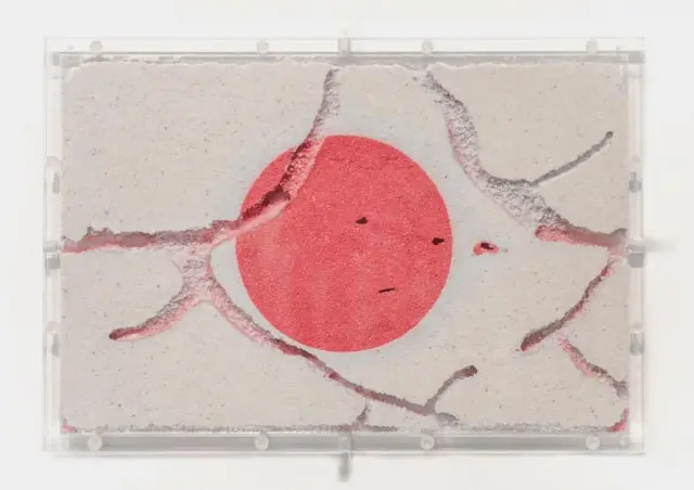 Hinomaru Ant Farm, 1996