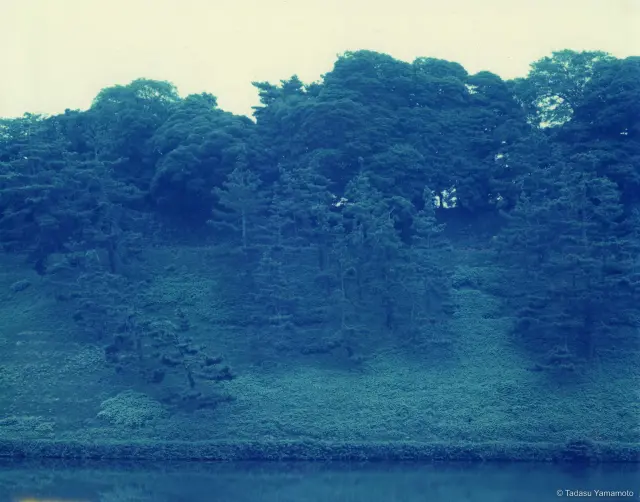 《Jardin 03》(2002)
