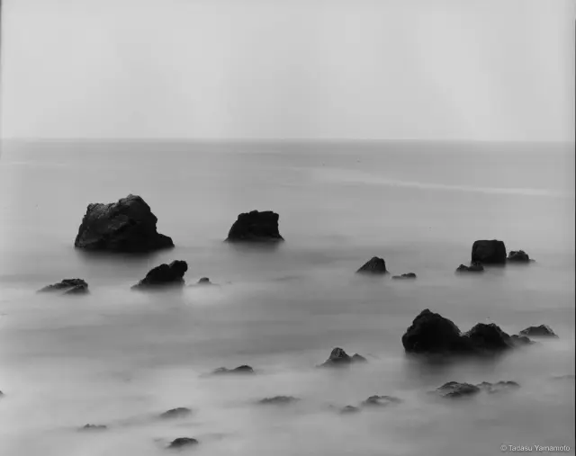 《Garden 17》(2001)ゼラチンシルバー・プリント、H100×W125cm