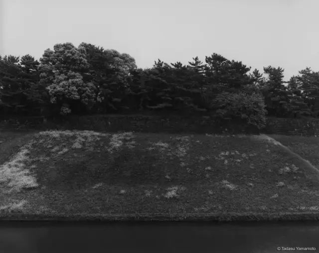 《Jardin 1》(2002) ゼラチンシルバー・プリント、H100×W125cm