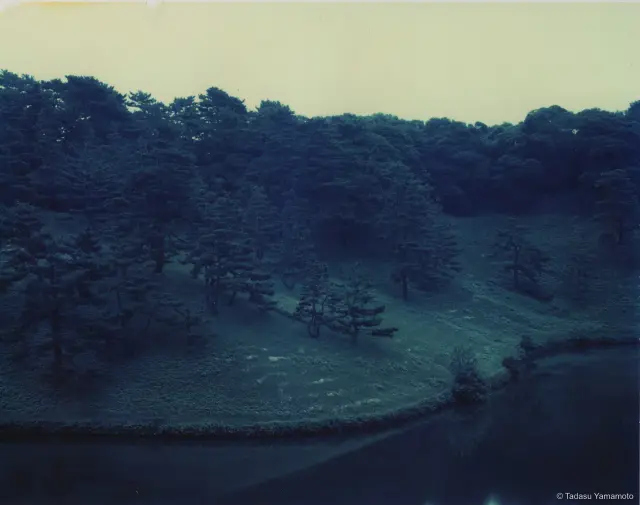 《Jardin 015》(2002)