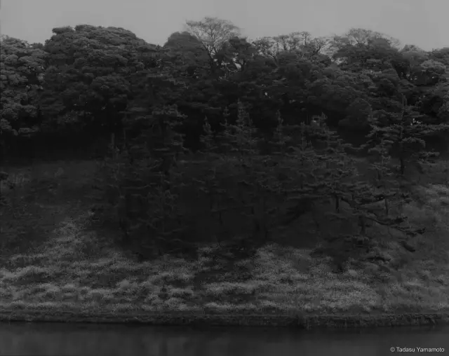 《Jardin 10》(2002) ゼラチンシルバー・プリント、H100×W125cm