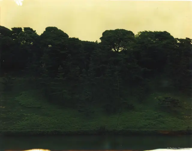 《Jardin 01》(2002)