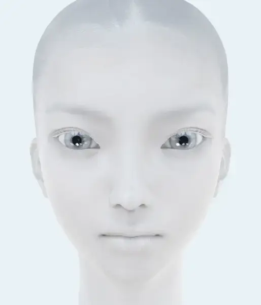 face ('portrait') - 28, 2009
