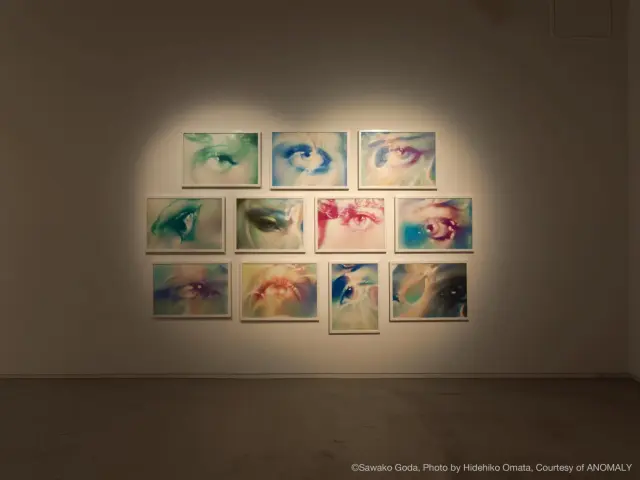 「合田佐和子展」展示風景、ANOMALY、東京、2019 / Sawako Goda Solo Exhibition Installation view, ANOMALY, Tokyo, 2019