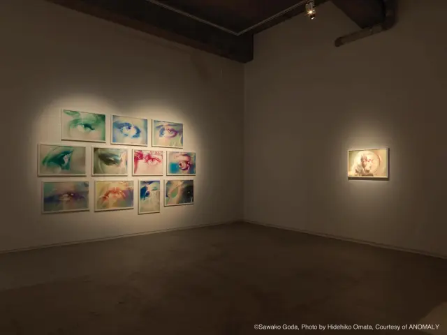 「合田佐和子展」展示風景、ANOMALY、東京、2019 / Sawako Goda Solo Exhibition Installation view, ANOMALY, Tokyo, 2019