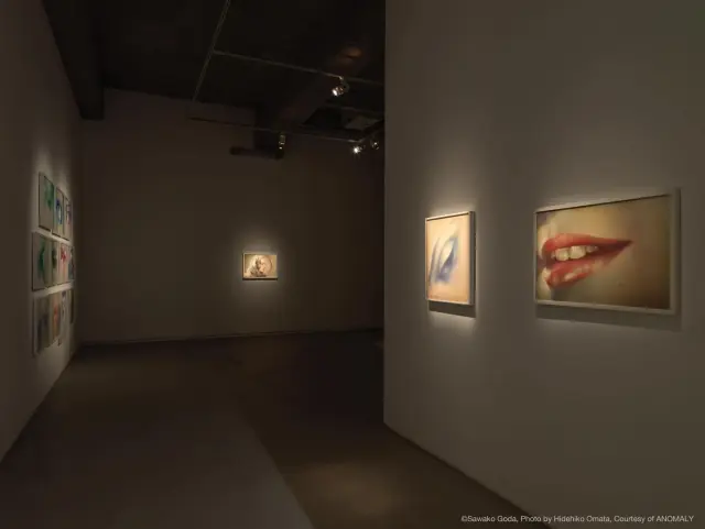 「合田佐和子展」展示風景、ANOMALY、東京、2019 / Sawako Goda Solo Exhibition Installation view, ANOMALY, Tokyo, 2019