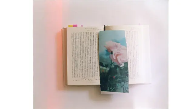 一之瀬ちひろ 作品