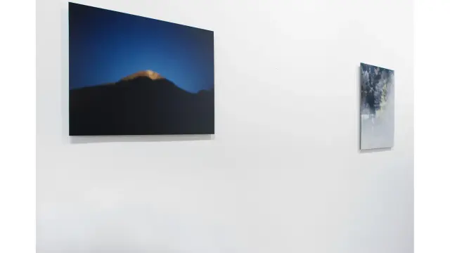 佐野陽一 作品