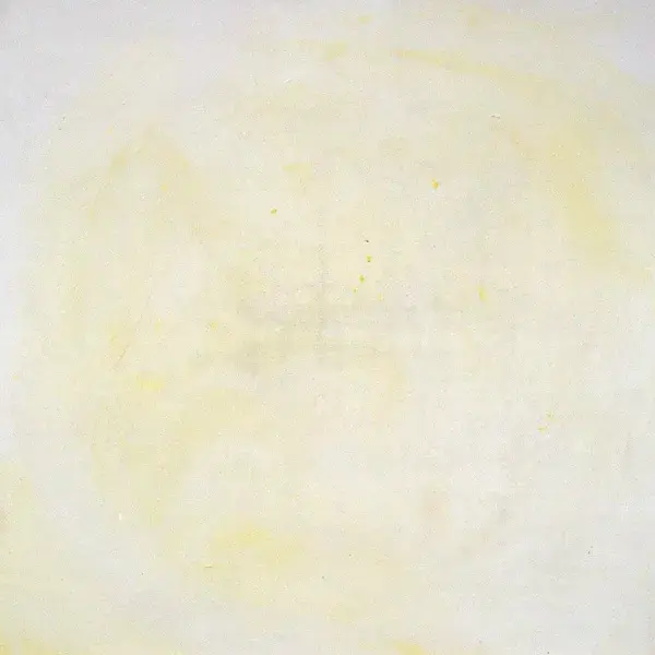 "pizza" 2010, acrylic and oil on canvas, 30×30cm (each)