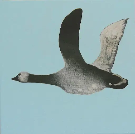 "wandervogel" 2005, acrylic on canvas, 30×30cm (each)