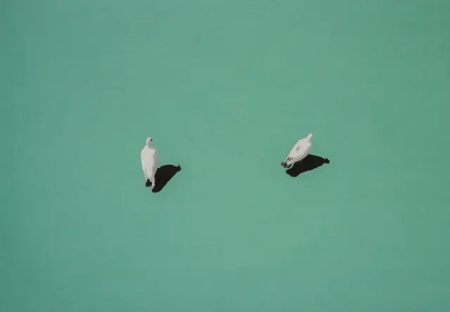 I and Thou ・ 2016 ・ archival pigment print on cotton paper - Editions of 12