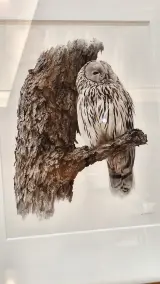増田寿志