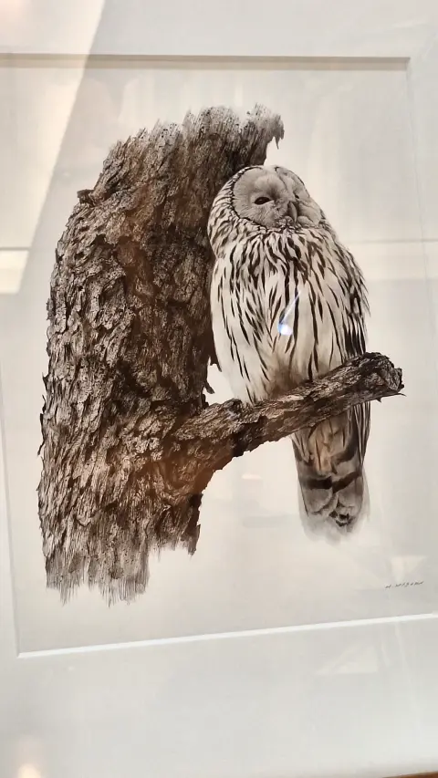 増田寿志 展 ～光と刻の狭間～