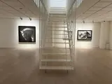 ロバート・ロンゴ