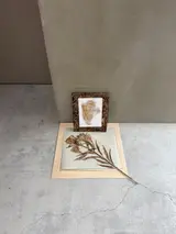田中勘太郎