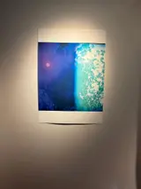 鷹巣由佳