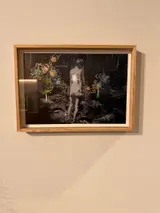 木めぐる