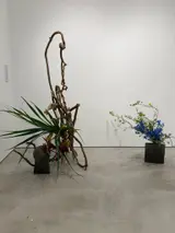 加藤 巧