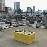 森山泰地