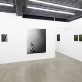 平野泰子