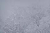 児玉靖枝