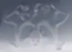 西澤利高
