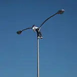 菊地良太
