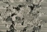 北山善夫