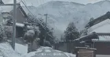 西本 春佳