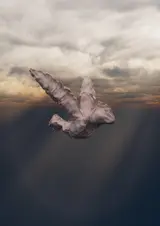 山形一生