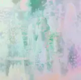 若林菜穂