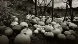 辻村史朗