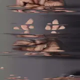 鈴木操