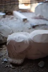 髙橋瑠璃